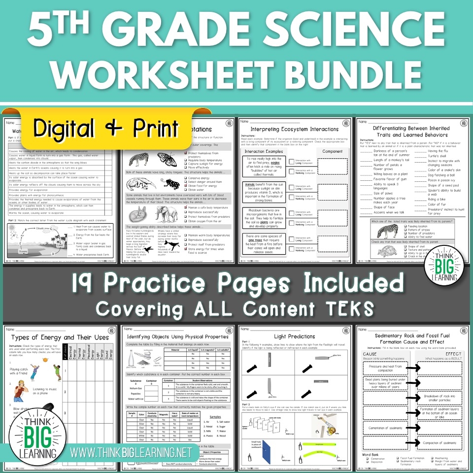 5th grade science worksheets 5th grade science worksheets