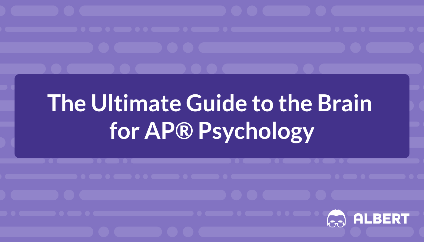 ap psychology brainstorm in color worksheet ap psychology brainstorm in color worksheet