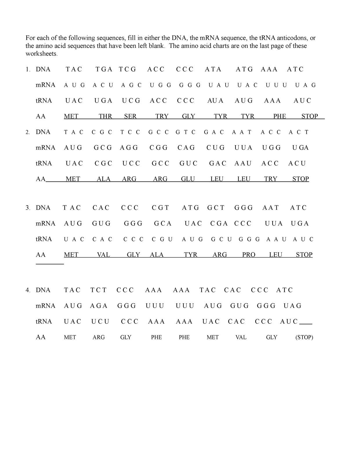 Dna Transcription Translation Worksheet Printable Study Planner