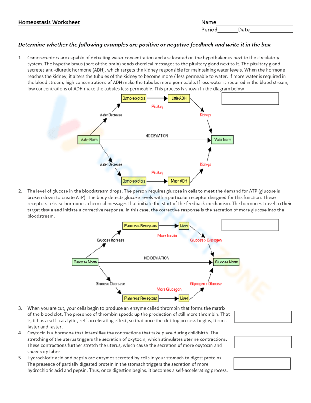 homeostasis worksheet recognize normal parameters