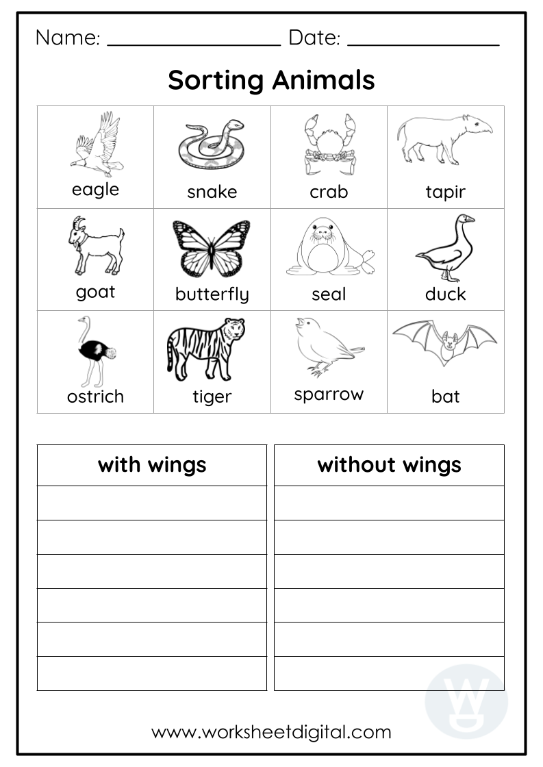 2nd grade science worksheets 2nd grade science worksheets