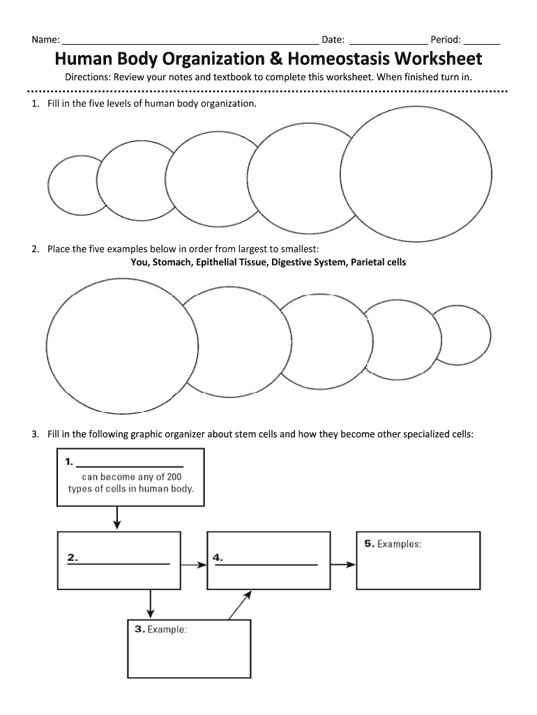 Homeostasis Worksheet Fill Out Sign Online DocHub