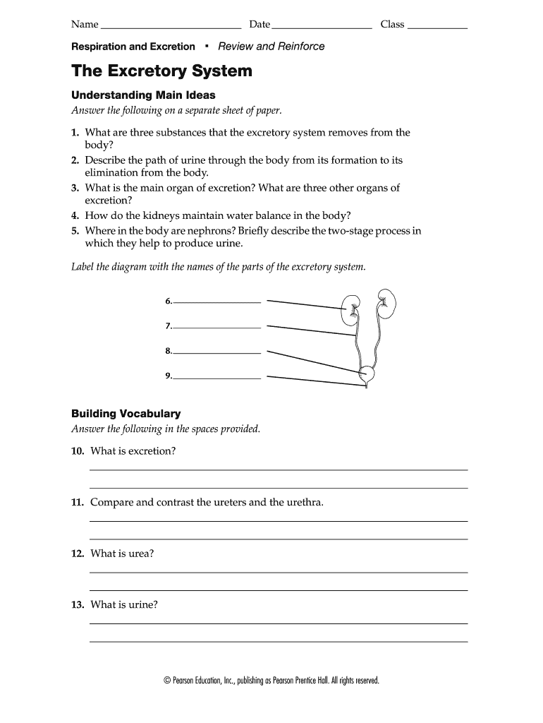 Homeostasis Worksheet Recognize Normal Parameters Printable Study Planner