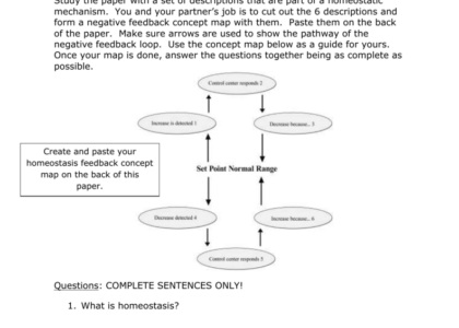 Homeostasis Worksheet Recognize Normal Parameters Printable Study Planner