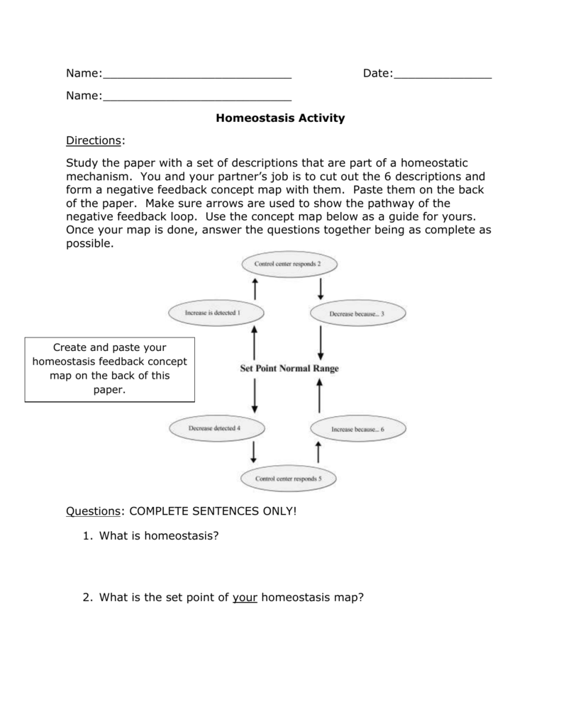 Homeostasis Worksheet Recognize Normal Parameters Printable Study Planner