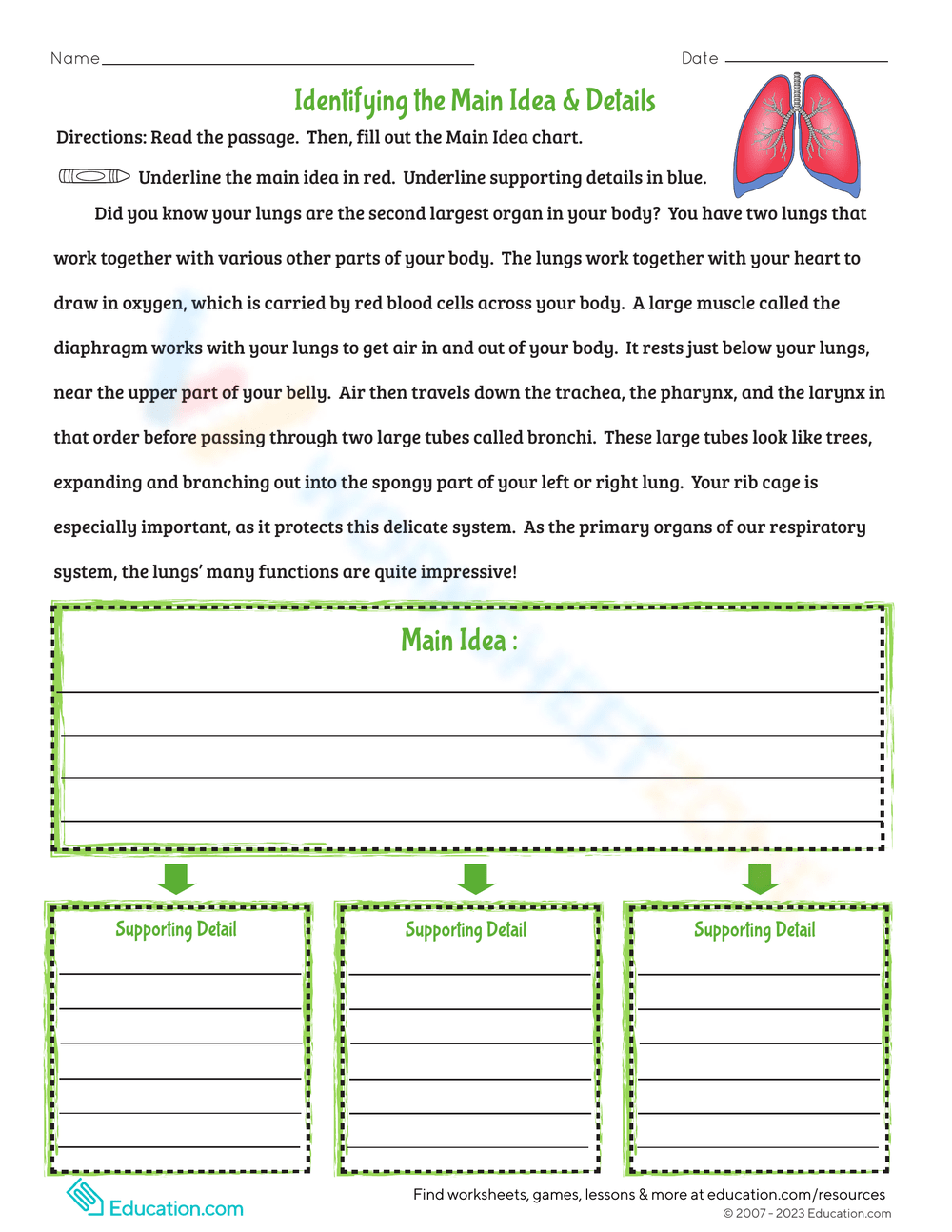 Main Idea Details Identification Worksheet Main Idea Details Identification Worksheet