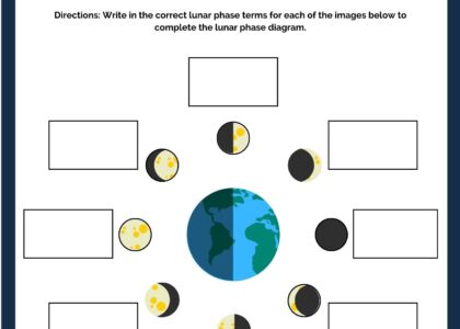 Moon Phases Science Worksheet Lunar Cycle Worksheet Lunar Cycle Activity Moon Phase Printable Lunar Phase Worksheet Kids Science Printable Etsy