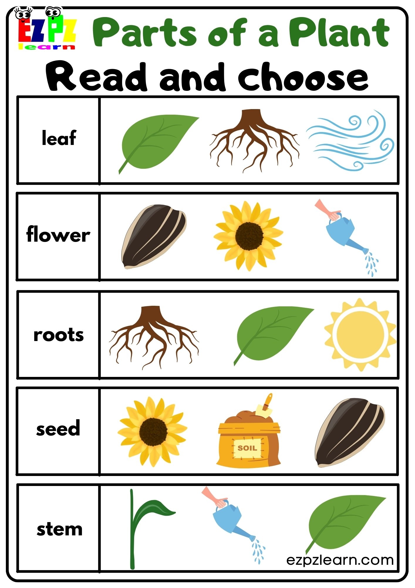 parts of a plant worksheet parts of a plant worksheet
