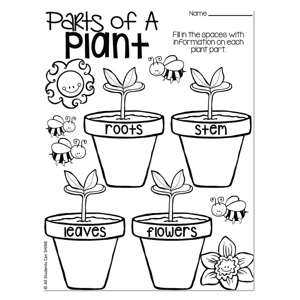 Plants Unit Writing Activities Parts Of A Plant Lucky Little Learners Plants Unit Writing Activities Parts Of A Plant Lucky Little Learners