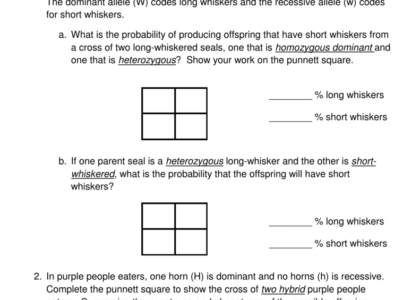 Punnett Square Practice Genetics Worksheet