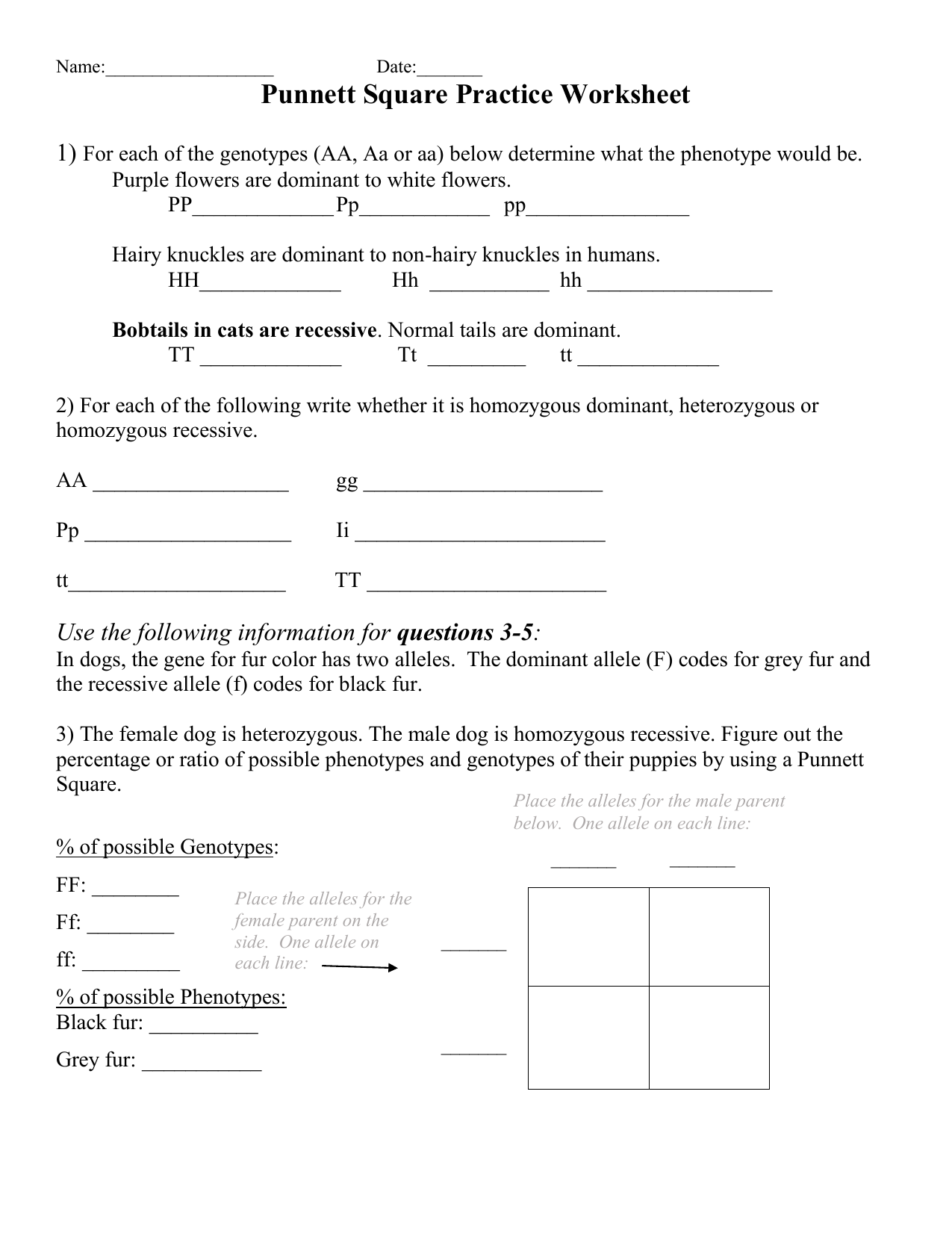 Punnett Square Practice Worksheet Genetics Problems Punnett Square Practice Worksheet Genetics Problems