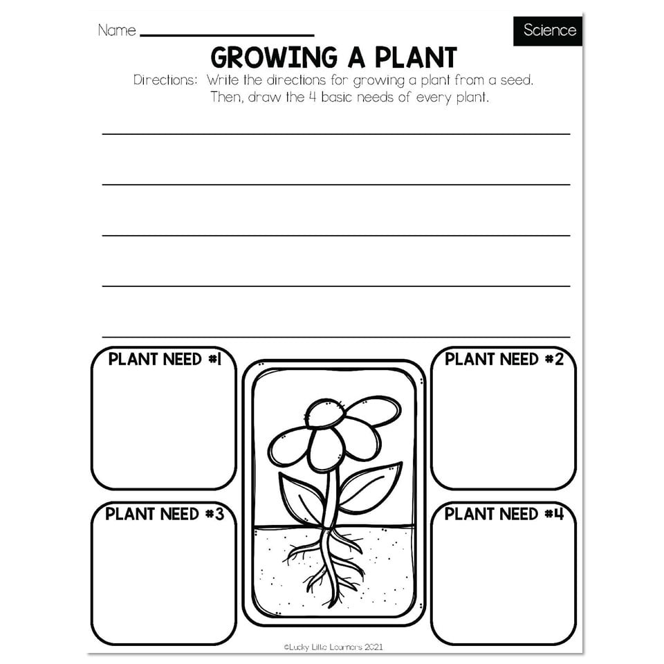 Spring Early Finishers 2nd Grade Science Growing A Plant Lucky Little Learners Spring Early Finishers 2nd Grade Science Growing A Plant Lucky Little Learners