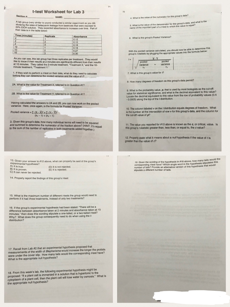 T test Worksheet For Lab 3 72 Section NAME What Chegg