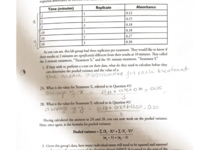 T Test Worksheet For Lab 3 Section 511 Analysis Of Absorbance Data Studocu